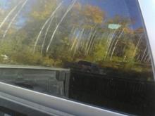 5% tint i did my self