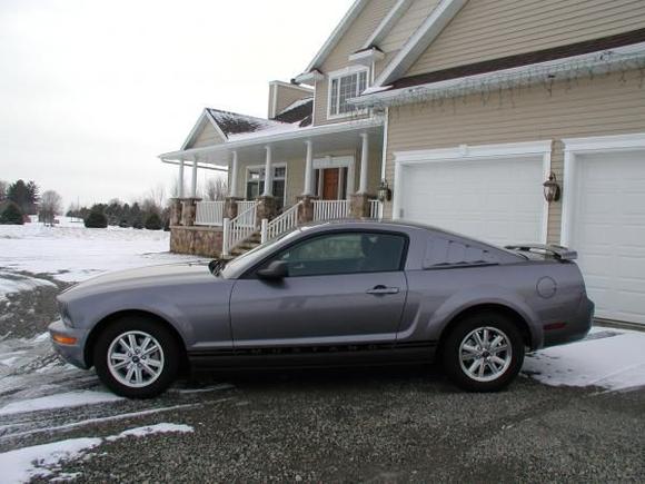mustang 005