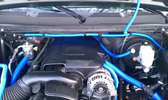 bluestreak16