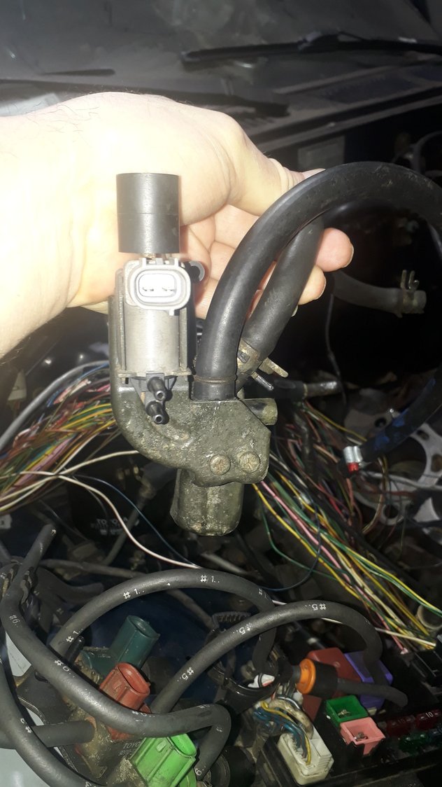 This is the gray valve/conector Im not sure where it goes, someone to help please? 