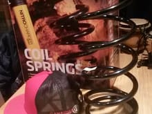 New springs,  what shocks should i get?