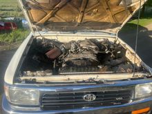Donor 3.4 
