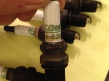 These are what I pulled out.
