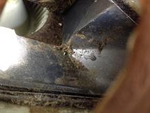 looking down the hole - you can see the blower in the upper left - the sharp squared off edge is where the flapper door seals