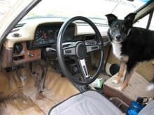 Interior and Scout Dogg