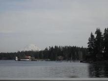 Why I Love Washington