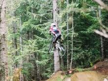 whistler