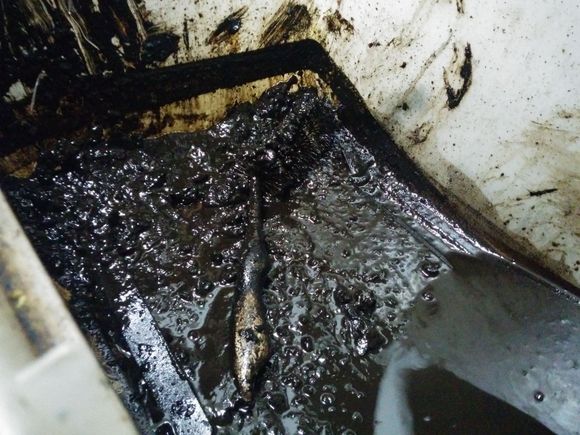 22RE Rebuild: This is what happens when you use a orange Fram and dont change your oil for 70,000 miles...yikes!