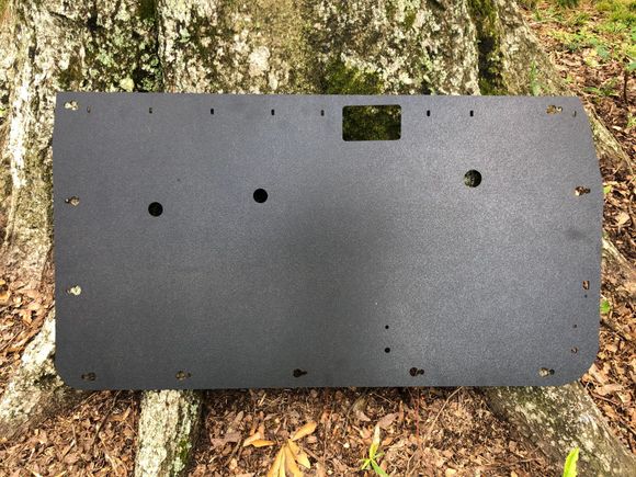4runner / pickup driver door 