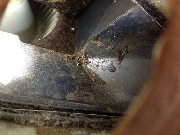 looking down the hole - you can see the blower in the upper left - the sharp squared off edge is where the flapper door seals