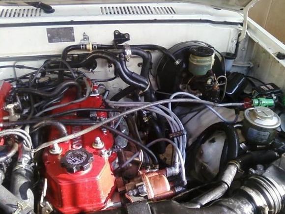 Cleaned engine bay