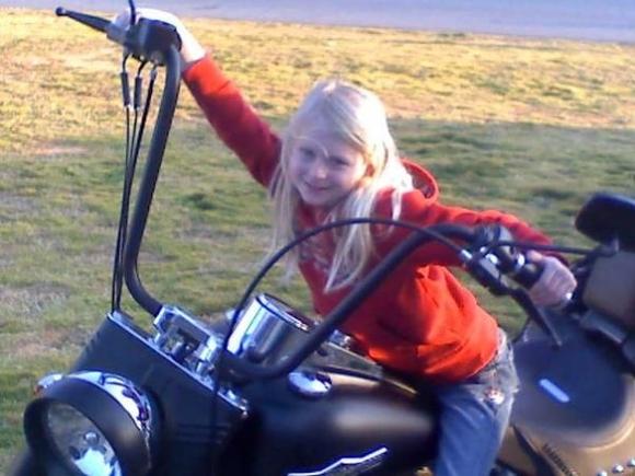 2007 Harley Davidson FLSTC
4