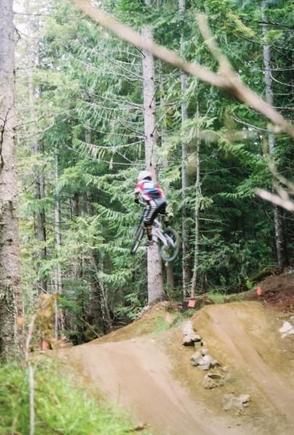 whistler