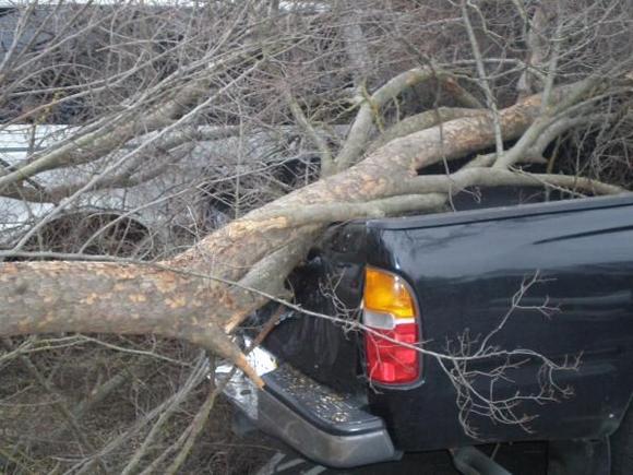 Crushed Tailgate
