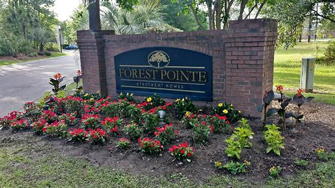 Forest Pointe Apartment Homes - Walterboro, SC