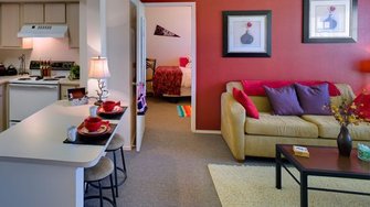 University Park Apartments  - Abilene, TX