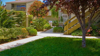 Ivywood Village Apartments - Oxnard, CA