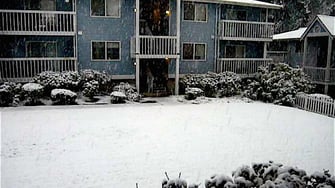 Nantucket Garden Apartments - Lynnwood, WA