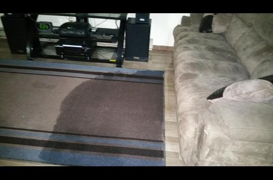 River Ridge Apartments - 3 Reviews | Sterling, IL Apartments for Rent