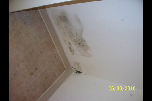 Shadow Run Apartments 55 Reviews Largo Fl For Rent Image Of Shadow Run Apartments In Largo Fl