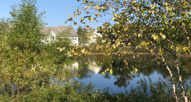 Evergreen at Timber Glen - 158 Reviews | Mays Landing, NJ Apartments