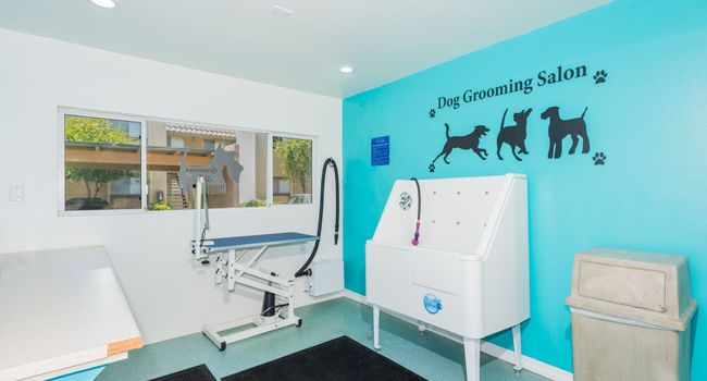 THE BEST 10 Pet Groomers near Twentynine Palms, CA 92277 - Last Updated  October 2023 - Yelp