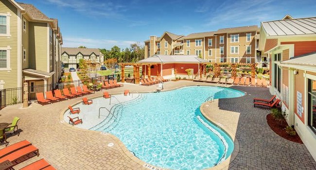 Millennium One Student Apartments - 25 Reviews | Charlotte, NC