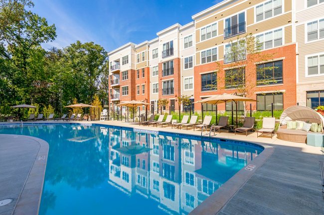 The Vine - 44 Reviews | Laurel, MD Apartments for Rent | ApartmentRatings©