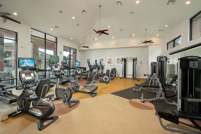 San Cierra - 32 Reviews | Houston, TX Apartments for Rent ...