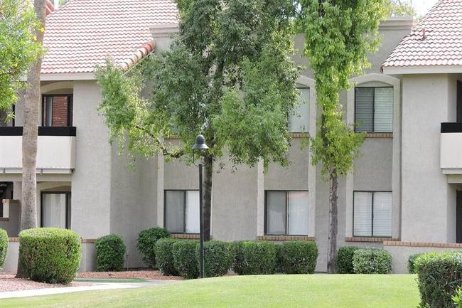 Gila Springs Apartments - 69 Reviews | Chandler, AZ Apartments for Rent