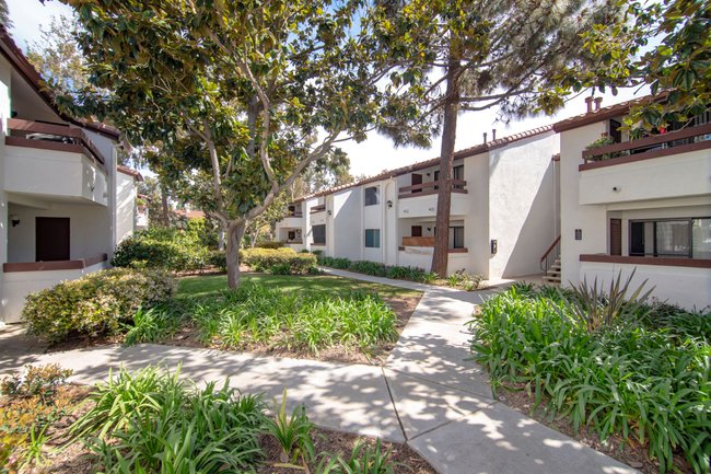 La Jolla Blue 195 Reviews San Diego, CA Apartments for