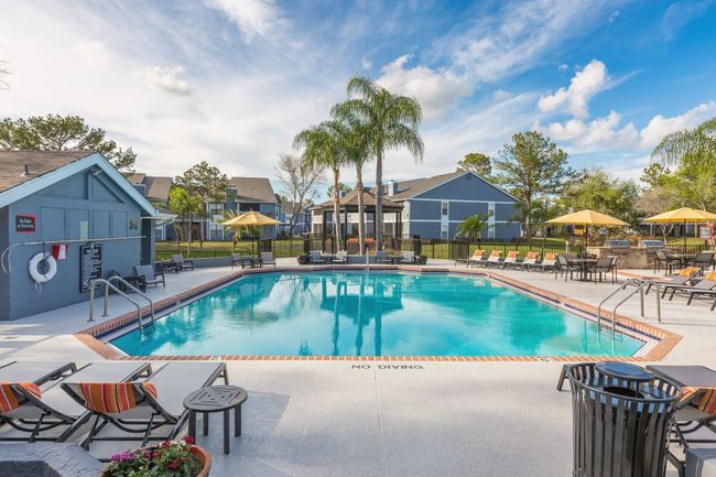 Northgreen at Carrollwood - 151 Reviews | Tampa, FL Apartments for Rent
